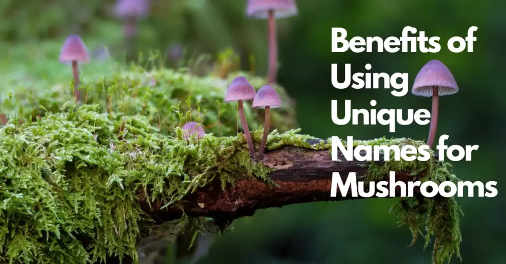 Benefits of Using Unique Names for Mushrooms illustration image